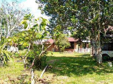 Se Vende Finca con  8.8 Hectáreas con Producción de Cacao y Piscinas  para peces  en Loreto Provincia de Orellana