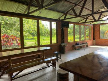 Se Vende Finca con  8.8 Hectáreas con Producción de Cacao y Piscinas  para peces  en Loreto Provincia de Orellana