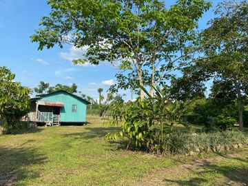 Se Vende Finca con  8.8 Hectáreas con Producción de Cacao y Piscinas  para peces  en Loreto Provincia de Orellana