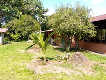 Se Vende Finca con  8.8 Hectáreas con Producción de Cacao y Piscinas  para peces  en Loreto Provincia de Orellana