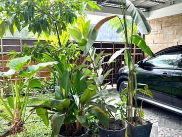 Rumah Mewah di Condongcatur dekat Pakuwon Mall