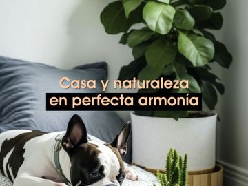 Casa en Venta, remate de casa en Ciudad de México (CDMX) Alcaldía: Gustavo A. Madero, Col: Lindavista, Calle: Arequipa 831