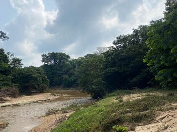 VENDO RANCHO GANADERO CON HECTÁREAS DE LIMÓN .