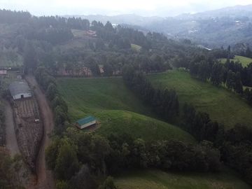 Finca Paramita