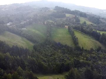 Finca Paramita