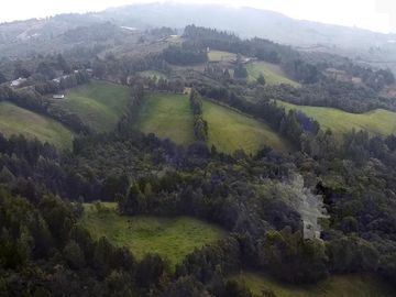 Finca Paramita