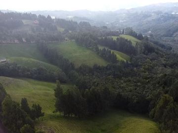 Finca Paramita
