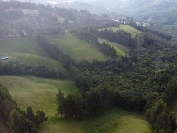 Finca Paramita