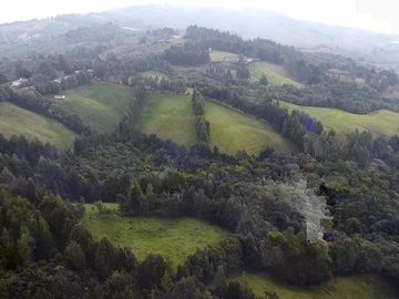 Finca Paramita