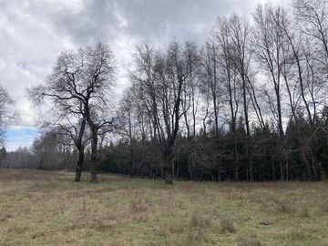 Campo Quilaco,  Los Ángeles