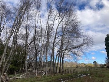 Campo Quilaco,  Los Ángeles
