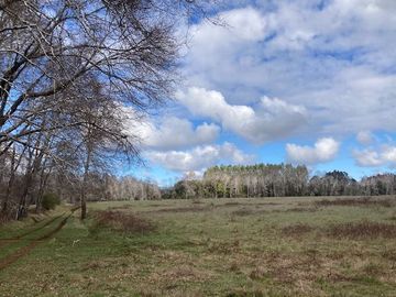 Campo Quilaco,  Los Ángeles