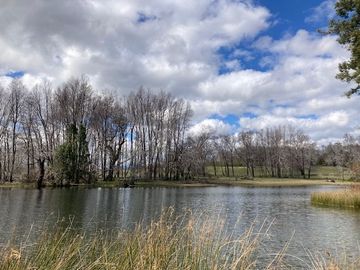 Campo Quilaco,  Los Ángeles