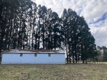 Campo Quilaco,  Los Ángeles