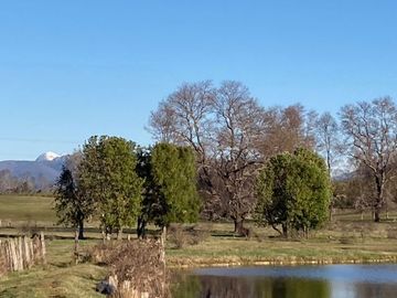 Campo Quilaco,  Los Ángeles