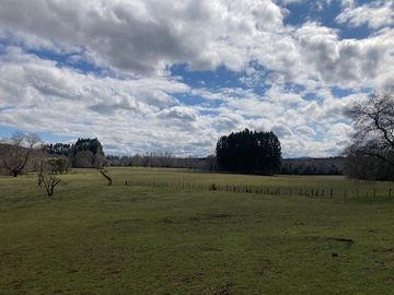 Campo Quilaco,  Los Ángeles
