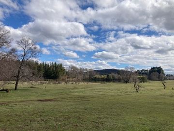 Campo Quilaco,  Los Ángeles