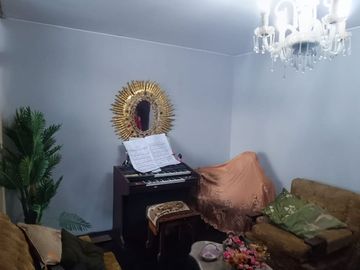 SE VENDE CASA CON PISCINA - AV CONDE DE NIEVA 490 M2