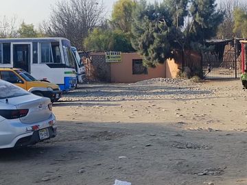 SE VENDE TERRENO CON 22 PLANTAS DE PECANO - CHANCHAJALLA TINGUIÑA ICA