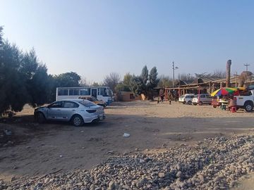 SE VENDE TERRENO CON 22 PLANTAS DE PECANO - CHANCHAJALLA TINGUIÑA ICA