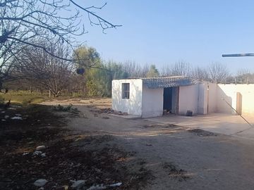 SE VENDE TERRENO CON 22 PLANTAS DE PECANO - CHANCHAJALLA TINGUIÑA ICA