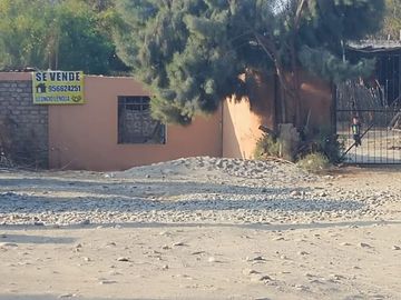 SE VENDE TERRENO CON 22 PLANTAS DE PECANO - CHANCHAJALLA TINGUIÑA ICA