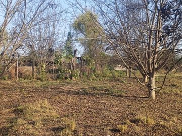 SE VENDE TERRENO CON 22 PLANTAS DE PECANO - CHANCHAJALLA TINGUIÑA ICA