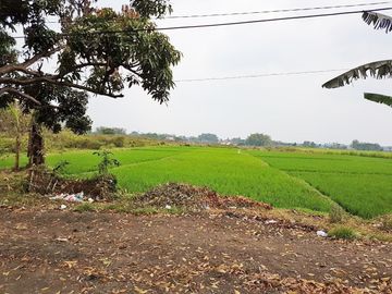 Termurah Tanah Komersial Raya Mondoroko Singosari Malang Paling Murah