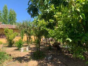 Se vende hermosa parcela agroresidencial en Pelarco