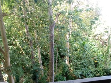 Studio condo / apartment for sale in Camella Northpoint