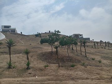VENTA DE TERRENO, 512 M2, PUNTA NEGRA, VISTA PANORAMICA AL MAR, ENERGÍA ELÉCTRICA, PARA CASA