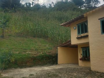 Finca en Venta Vereda el Uvito San Cristóbal. Medellín