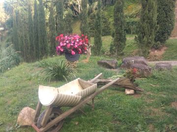 Finca en Venta Vereda el Uvito San Cristóbal. Medellín