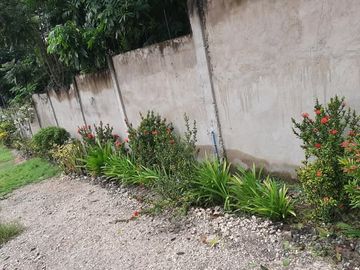 House and Lot for Sale in Upper Palanas, Alcantara, Cebu