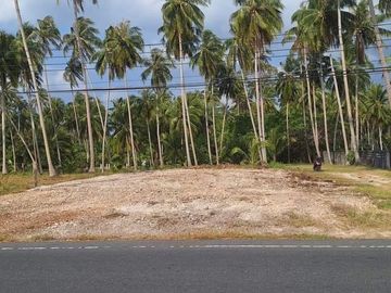 88939 - ขายที่ดินใกล้อ่าวขนอม อำเภอขนอม จังหวัดนครศรีธรรมราช