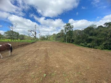 TERRENO DE VENTA UBICADO EN PEDRO VICENTE MALDONADO