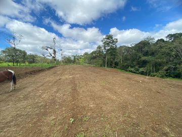 TERRENO DE VENTA UBICADO EN PEDRO VICENTE MALDONADO