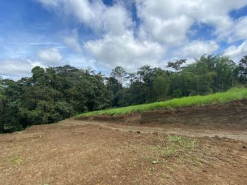 TERRENO DE VENTA UBICADO EN PEDRO VICENTE MALDONADO