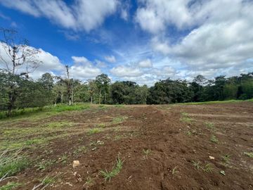 TERRENO DE VENTA UBICADO EN PEDRO VICENTE MALDONADO