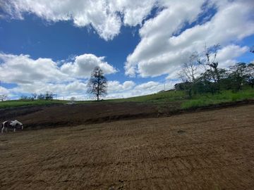 TERRENO DE VENTA UBICADO EN PEDRO VICENTE MALDONADO