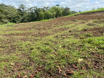 TERRENO DE VENTA UBICADO EN PEDRO VICENTE MALDONADO