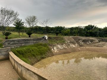Terreno en Venta Puerto de las Flores Montemorelos Nuevo León