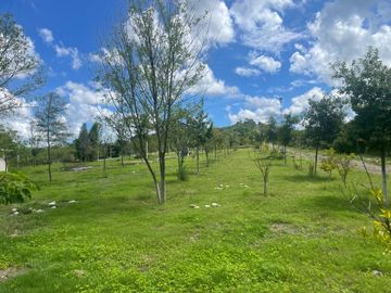 Terreno en Venta Puerto de las Flores Montemorelos Nuevo León