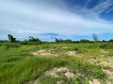 Land for sale, 10 rai, 106 square wa, Suan Pan, Mueang District, Nakhon Pathom.