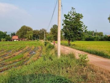 ขายที่ดิน 6 ไร่ 2 งาน 88 ตร.วา ติดถนนลาดยางดำ วิวทุ่งนา หมู่ 7 บ้านวังพรม วังทอง-วังพิกุล พิษณุโลก