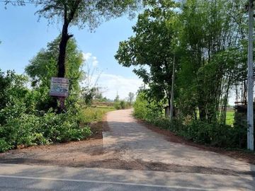 ขายที่ดิน 6 ไร่ 2 งาน 88 ตร.วา ติดถนนลาดยางดำ วิวทุ่งนา หมู่ 7 บ้านวังพรม วังทอง-วังพิกุล พิษณุโลก