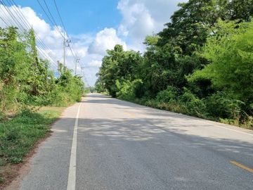 ขายที่ดิน 6 ไร่ 2 งาน 88 ตร.วา ติดถนนลาดยางดำ วิวทุ่งนา หมู่ 7 บ้านวังพรม วังทอง-วังพิกุล พิษณุโลก