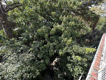 CASA EN LOMAS DE CHAPULTEPEC GANADORA DE PREMIOS EN CALLE SIN VECINOS ENFRENTE