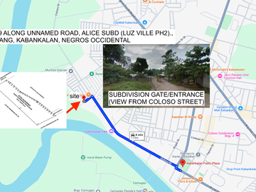 Sale Vacant Lot at ALICE SUBD., TALUBANGI, KABANKALAN, NEGROS OCCIDENTAL 15,541SQM@10,495,000