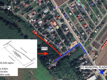 Sale Vacant Lot at ALICE SUBD., TALUBANGI, KABANKALAN, NEGROS OCCIDENTAL 15,541SQM@10,495,000